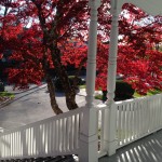 Maple-view-porch