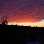 Sunset on the island