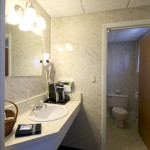 Town Motel - Bathroom alt view
